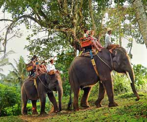 Elephant Trek, ATV, and Rafting