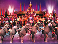 Elephants at Phuket Fantasea Show